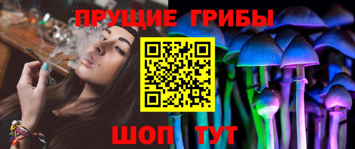 Галлюциногенные грибы GOLDEN TEACHER  Псилоцибиновые грибы прущие грибы  купить закладку  Вход с VPN  Кубинка 